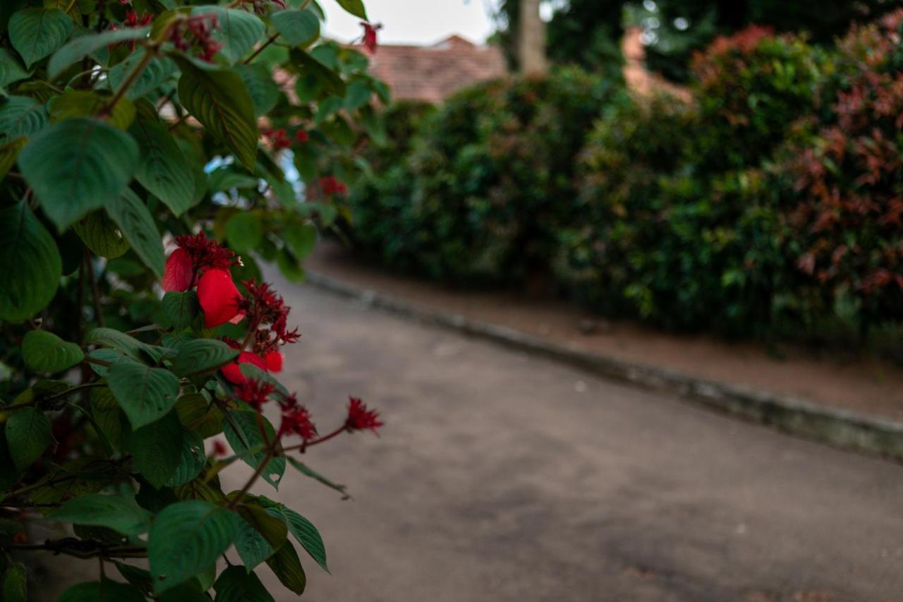 Hummingbird Camp Bed & Breakfast Entebbe Exterior photo